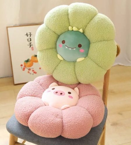 cushion (1)